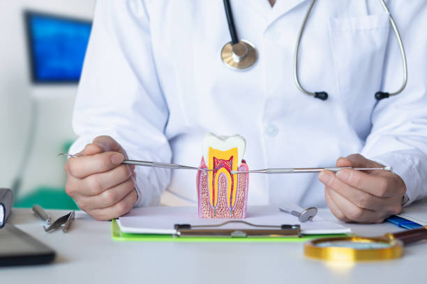 Best Chipped Tooth Repair Near Me  in Waldorf, MD